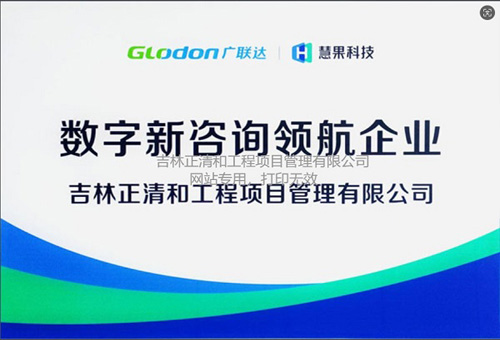 数字新咨询领航企业